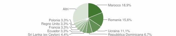 Grafico cittadinanza stranieri - Misinto 2011