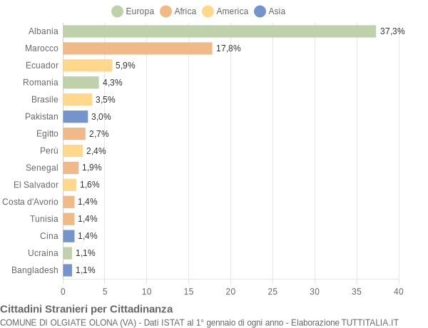 Grafico cittadinanza stranieri - Olgiate Olona 2004