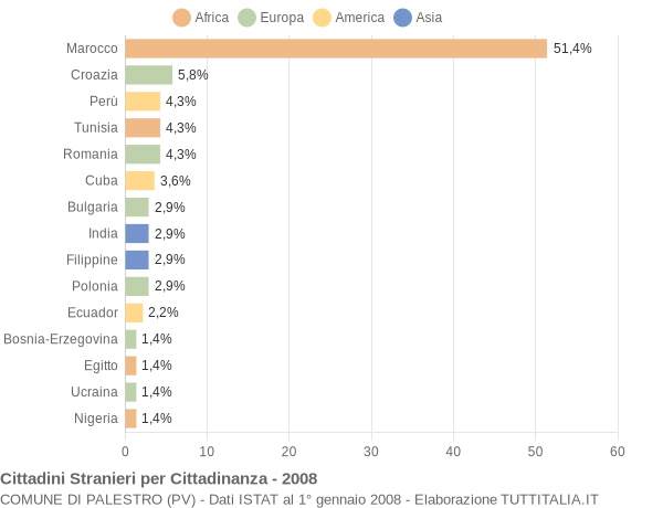 Grafico cittadinanza stranieri - Palestro 2008