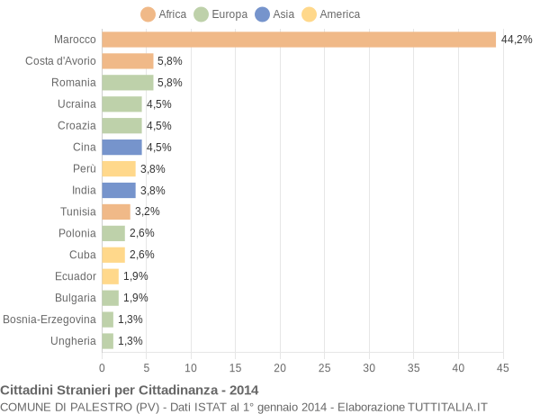 Grafico cittadinanza stranieri - Palestro 2014