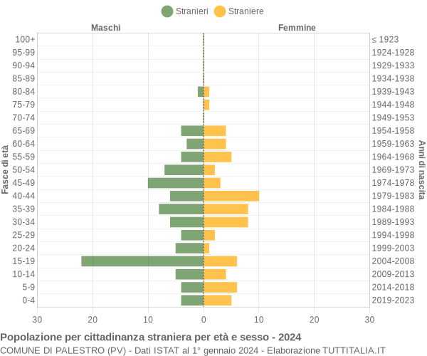 Grafico cittadini stranieri - Palestro 2024