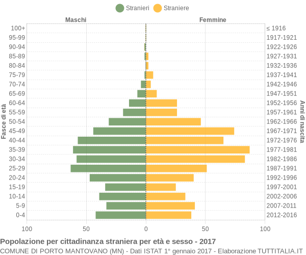 Grafico cittadini stranieri - Porto Mantovano 2017