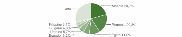 Grafico cittadinanza stranieri - Albairate 2013