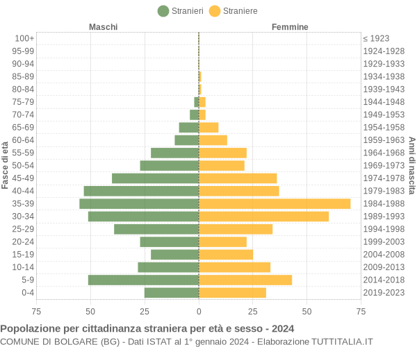 Grafico cittadini stranieri - Bolgare 2024