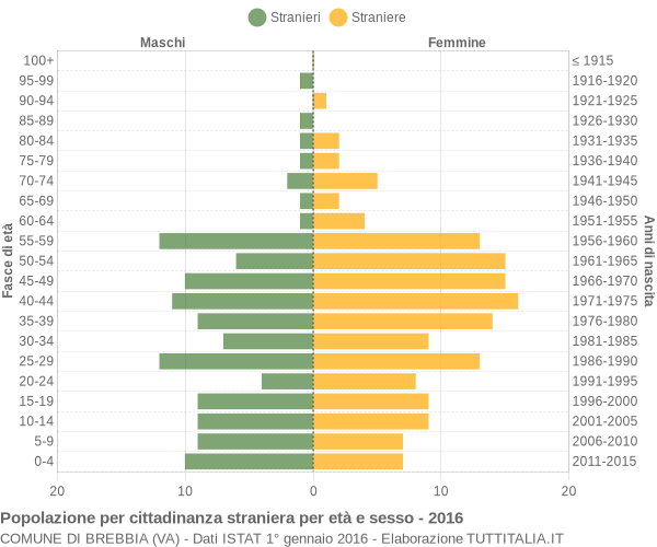 Grafico cittadini stranieri - Brebbia 2016