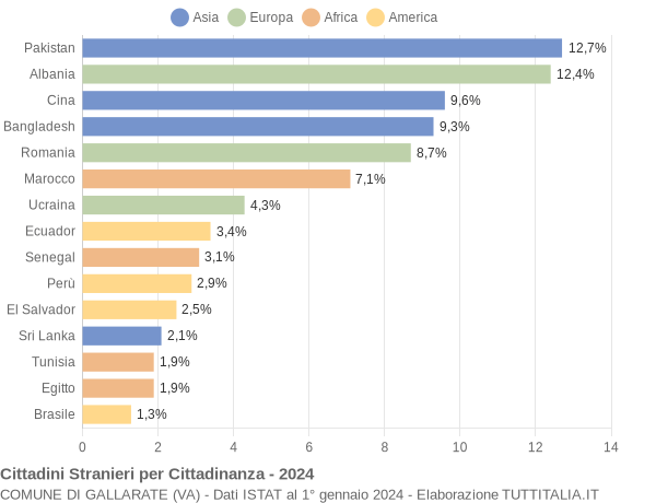 Grafico cittadinanza stranieri - Gallarate 2024