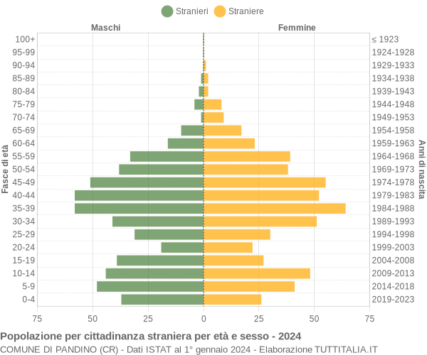 Grafico cittadini stranieri - Pandino 2024