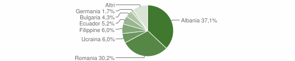 Grafico cittadinanza stranieri - Canneto Pavese 2014