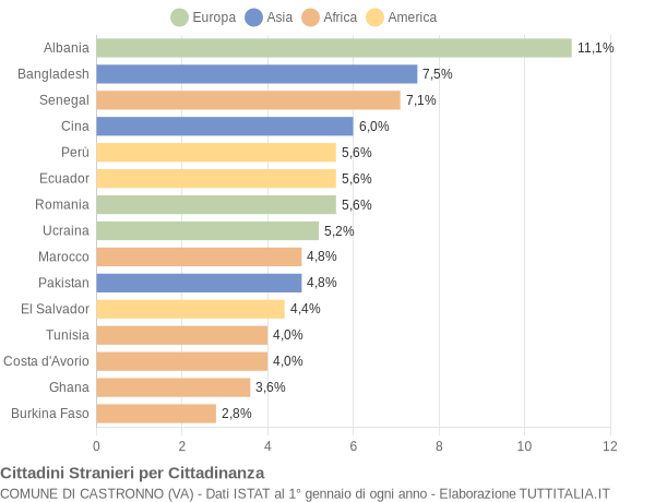 Grafico cittadinanza stranieri - Castronno 2013