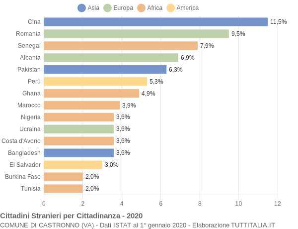 Grafico cittadinanza stranieri - Castronno 2020