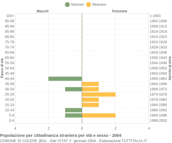 Grafico cittadini stranieri - Colere 2004
