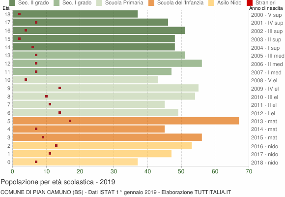 Grafico Popolazione in età scolastica - Pian Camuno 2019