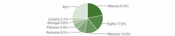 Grafico cittadinanza stranieri - Treviglio 2014