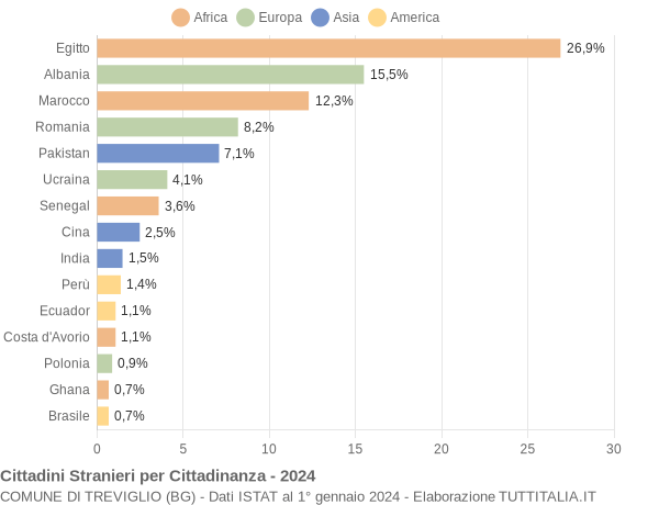 Grafico cittadinanza stranieri - Treviglio 2024