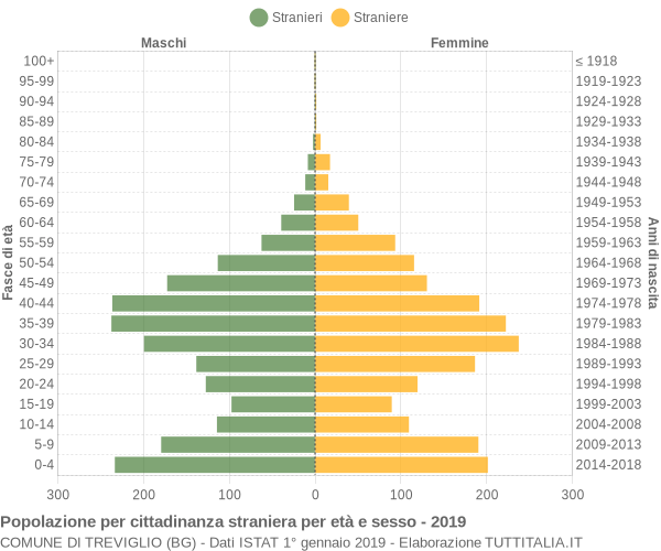 Grafico cittadini stranieri - Treviglio 2019