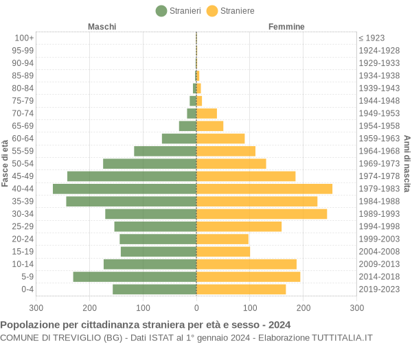 Grafico cittadini stranieri - Treviglio 2024