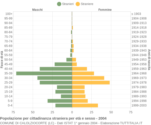 Grafico cittadini stranieri - Calolziocorte 2004