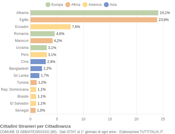 Grafico cittadinanza stranieri - Abbiategrasso 2005