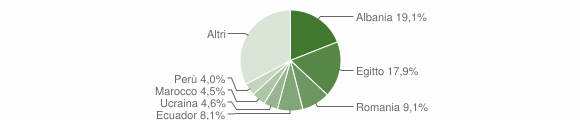 Grafico cittadinanza stranieri - Abbiategrasso 2013