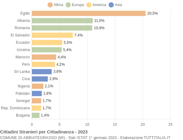 Grafico cittadinanza stranieri - Abbiategrasso 2023