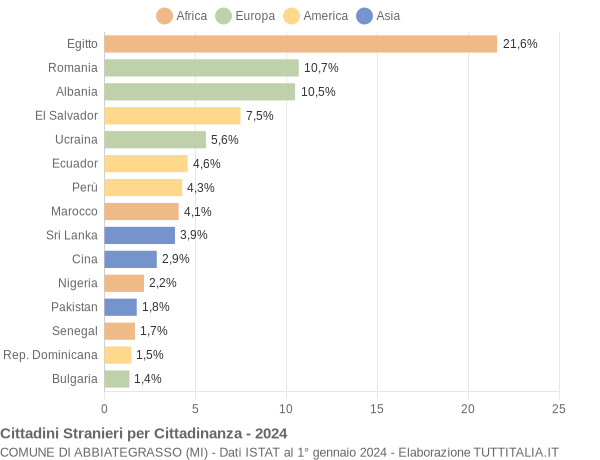 Grafico cittadinanza stranieri - Abbiategrasso 2024