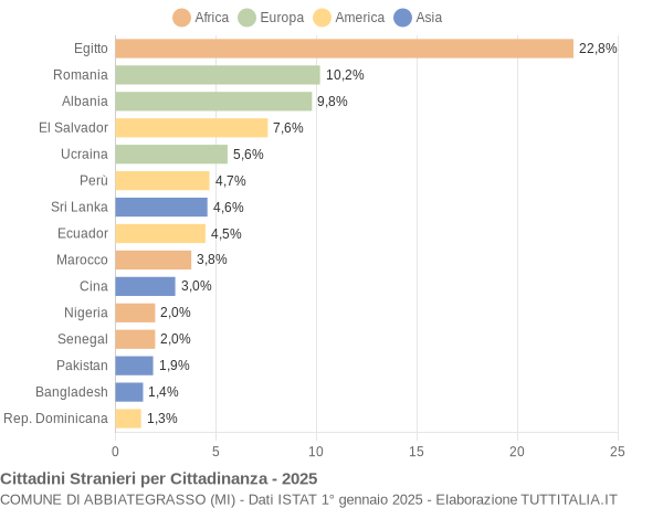 Grafico cittadinanza stranieri - Abbiategrasso 2025