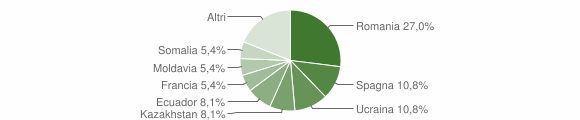 Grafico cittadinanza stranieri - Borno 2007