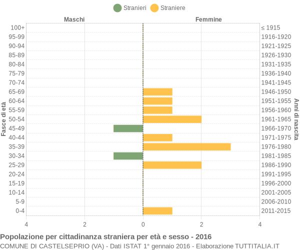 Grafico cittadini stranieri - Castelseprio 2016