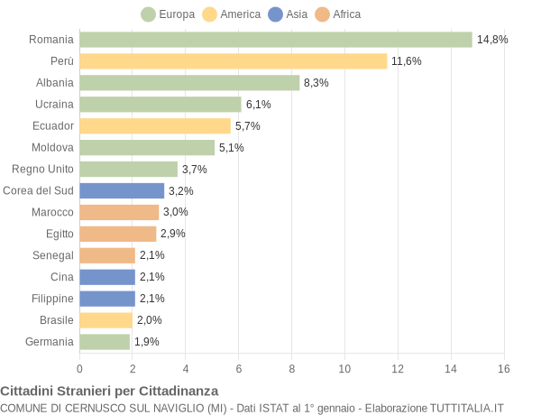 Grafico cittadinanza stranieri - Cernusco sul Naviglio 2011