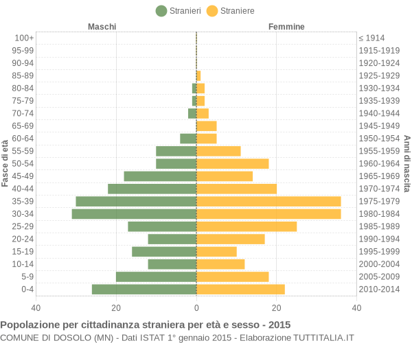 Grafico cittadini stranieri - Dosolo 2015