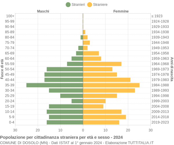 Grafico cittadini stranieri - Dosolo 2024