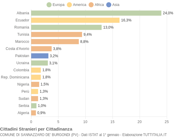 Grafico cittadinanza stranieri - Sannazzaro de' Burgondi 2009