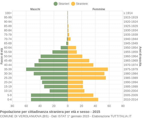 Grafico cittadini stranieri - Verolanuova 2015