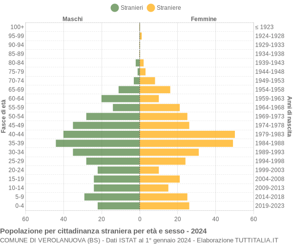 Grafico cittadini stranieri - Verolanuova 2024