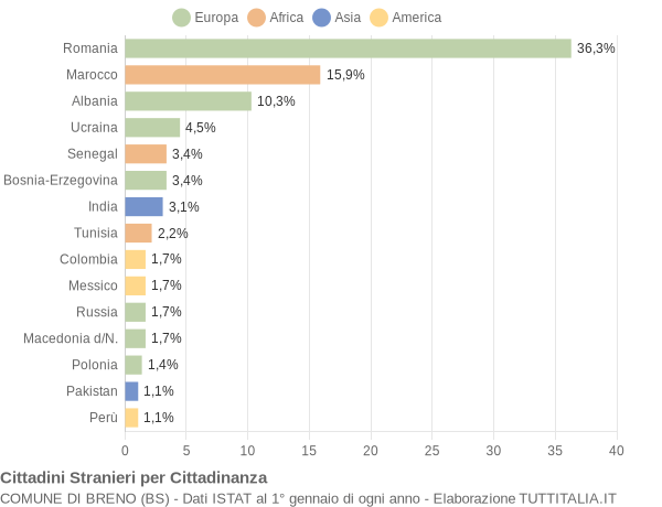 Grafico cittadinanza stranieri - Breno 2013