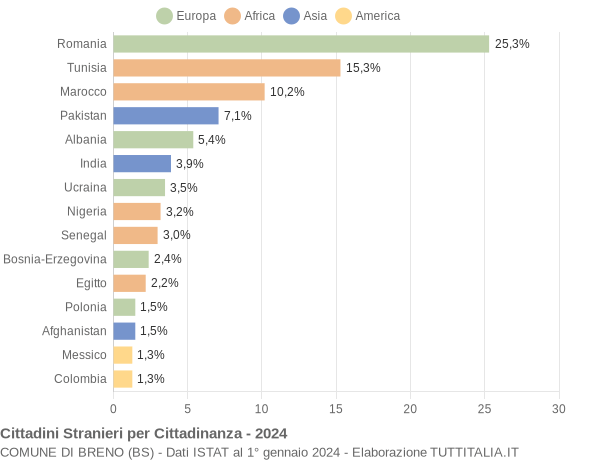 Grafico cittadinanza stranieri - Breno 2024