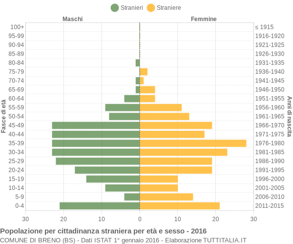 Grafico cittadini stranieri - Breno 2016