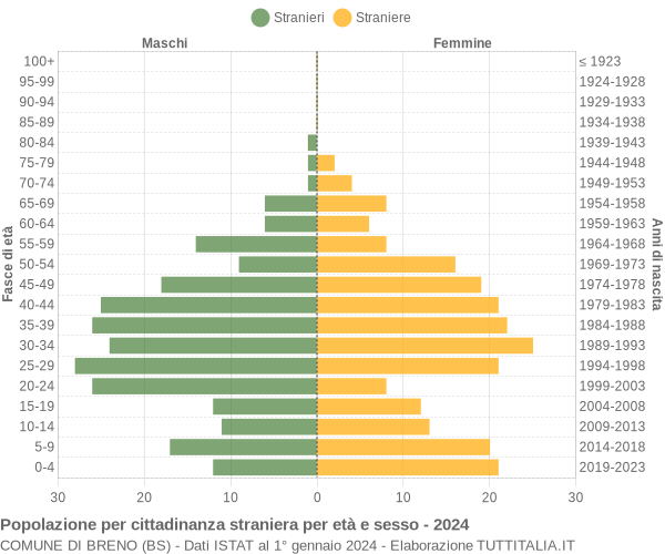 Grafico cittadini stranieri - Breno 2024