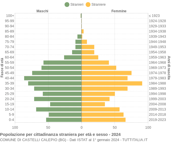 Grafico cittadini stranieri - Castelli Calepio 2024