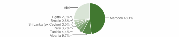 Grafico cittadinanza stranieri - Cornate d'Adda 2005