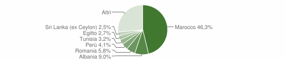 Grafico cittadinanza stranieri - Cornate d'Adda 2007
