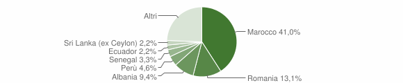 Grafico cittadinanza stranieri - Cornate d'Adda 2009