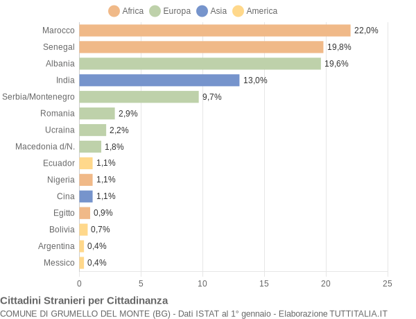 Grafico cittadinanza stranieri - Grumello del Monte 2005