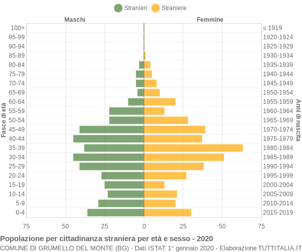 Grafico cittadini stranieri - Grumello del Monte 2020
