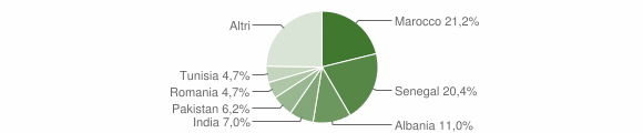 Grafico cittadinanza stranieri - Paratico 2007