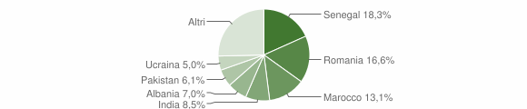 Grafico cittadinanza stranieri - Paratico 2013