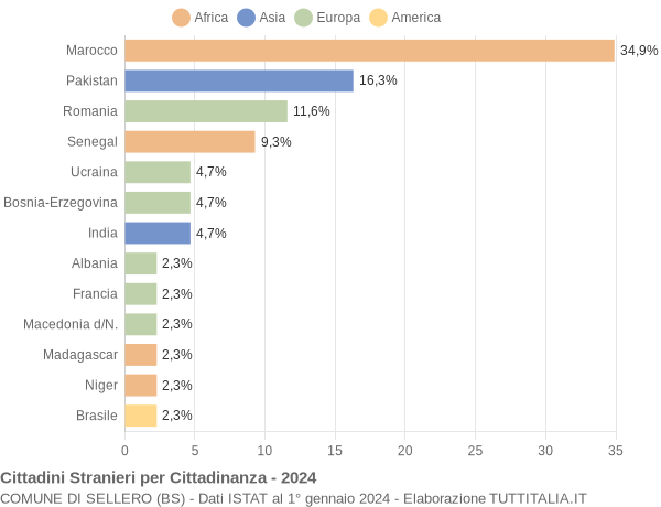 Grafico cittadinanza stranieri - Sellero 2024