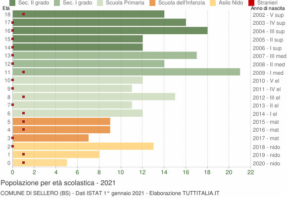 Grafico Popolazione in età scolastica - Sellero 2021