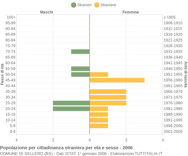 Grafico cittadini stranieri - Sellero 2006