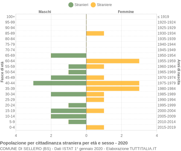 Grafico cittadini stranieri - Sellero 2020